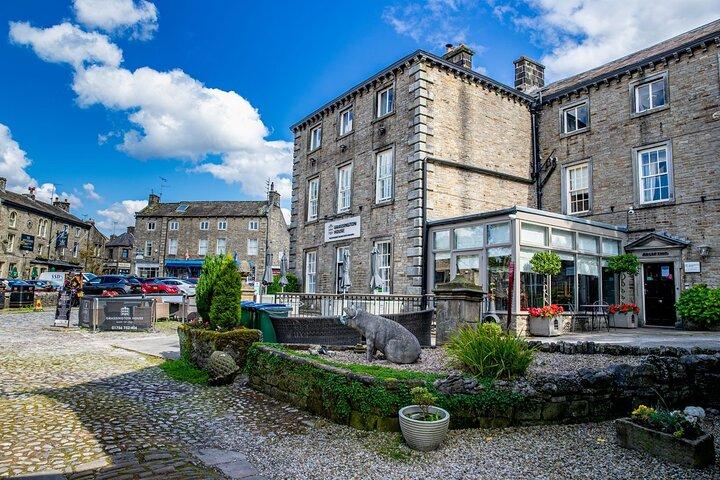 Heldags opdagelse af alle skabninger store og små rundvisning i Yorkshire