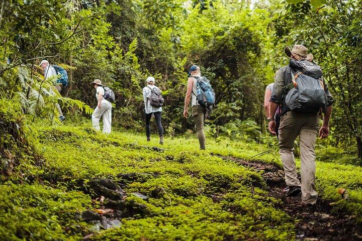Parc national d'Arusha Safari à pied privé et expérience de la faune