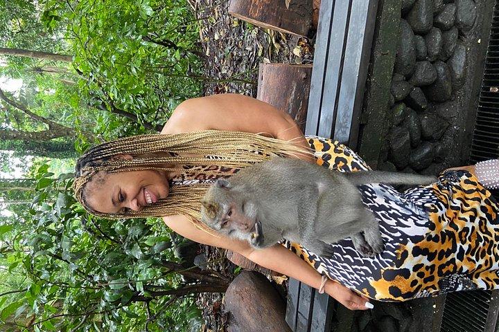 Ubud Surounding Tour