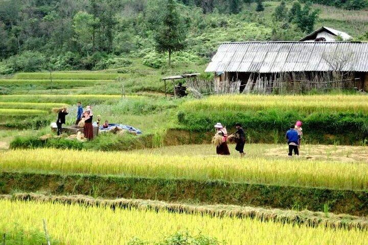 2-Days Private Sapa Adventure in Fansipan Peak and Amazing Village