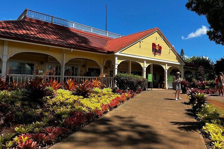 North Shore & Circle Island Tour (Not Private)
