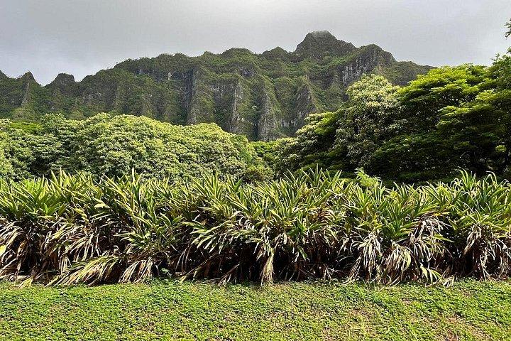 North Shore & Circle Island Tour (Not Private)
