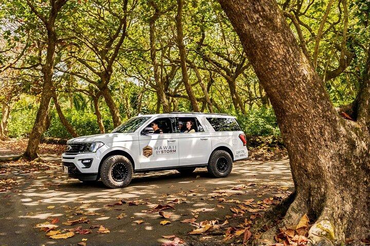 Maui by Storm: Epic Private Luxury Road to Hana Adventure Tour