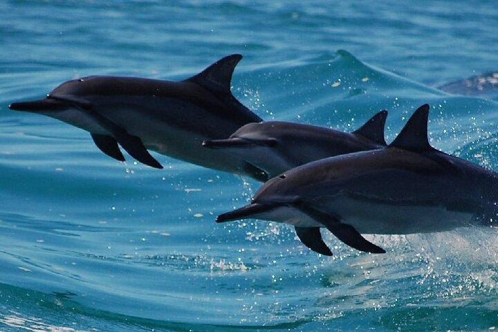 カウアイ島：ナパリ海岸ボートツアーとシュノーケリング