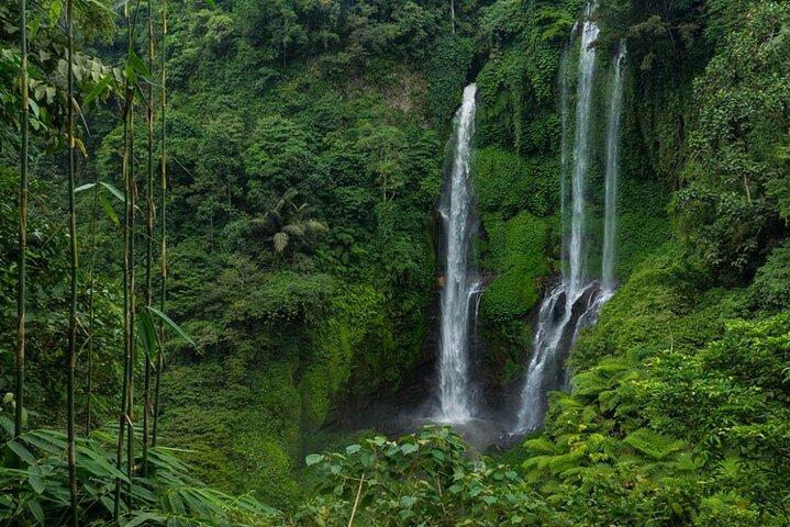 Visite de la cascade de Bali