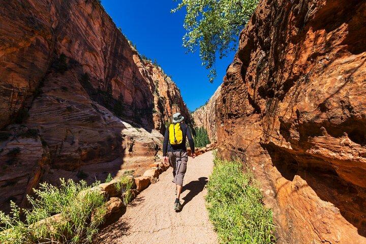 Zion-Nationalpark: Selbstgeführte Auto- und Shuttle-Tour