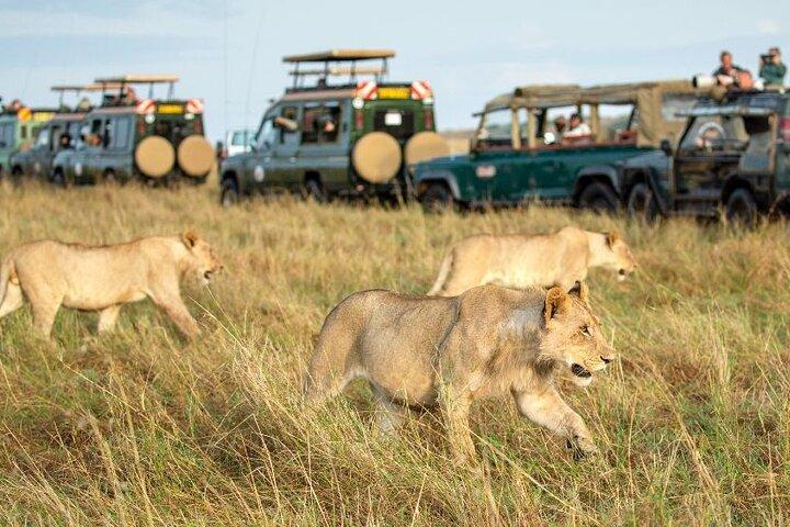 Groepsreis door het Nairobi Nationaal Park