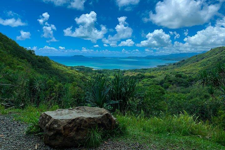Rancho Kualoa : Tour de expedición a la selva