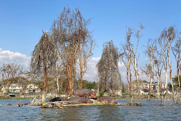 ヘルズゲート国立公園とナイバシャ湖プライベートツアー