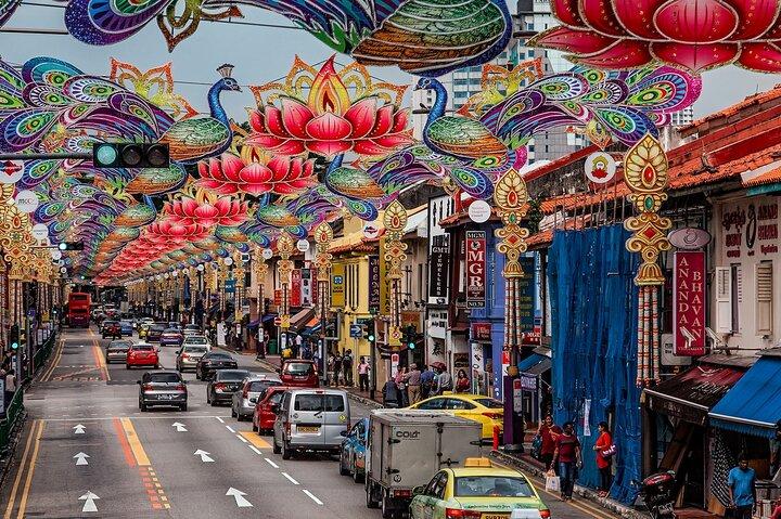 Tour a piedi delle gemme nascoste di Singapore Little India (privato e tutto compreso)