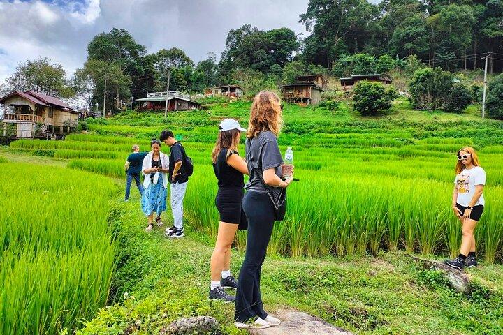 Doi Inthanon, Waterfall + Royal Project de Chiang Mai com almoço