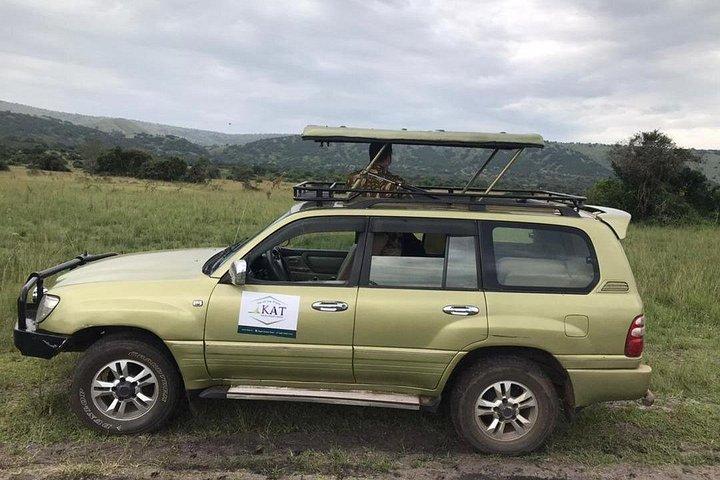 Private Full-Day Tour Akagera Game Drive