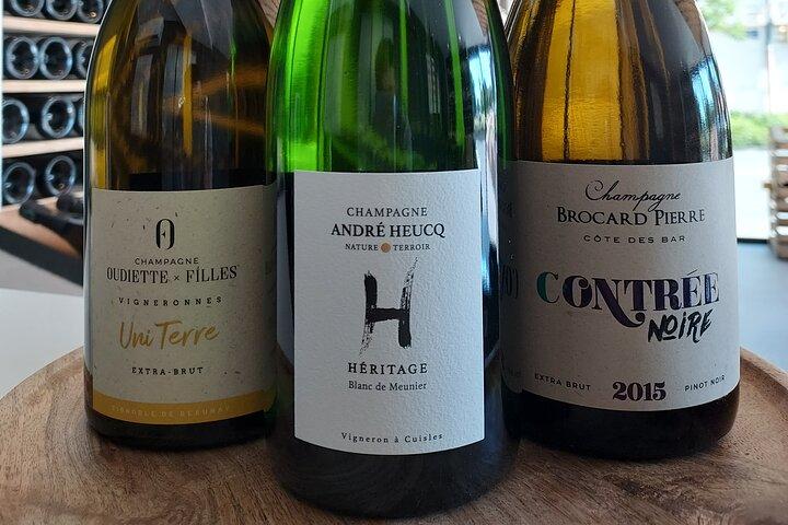 Proeverij en ontdekking van de 3 champagnedruivensoorten