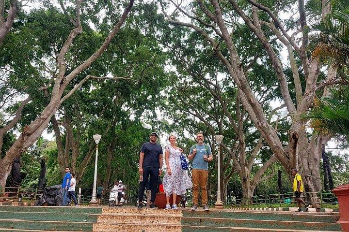 Upplev Bangalore - stadsrundtur, autentisk mat och marknad (mat/kultur/historia)