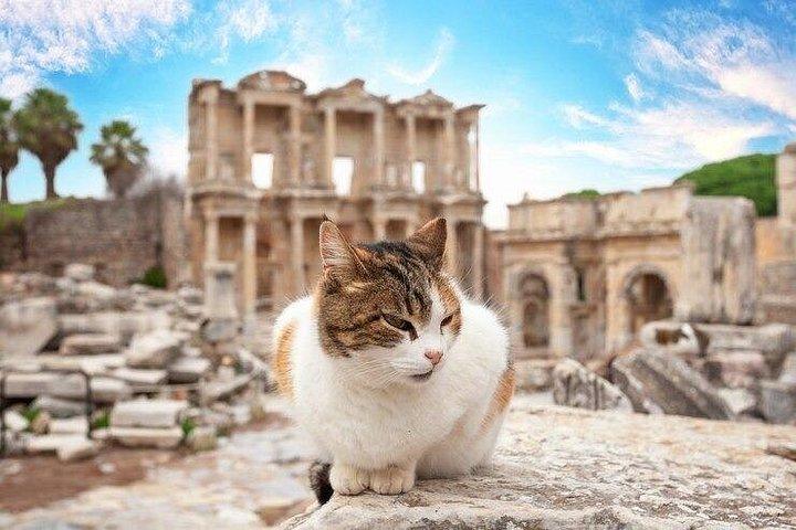 古代の驚異への旅：プライベートツアーでエフェソスを探索