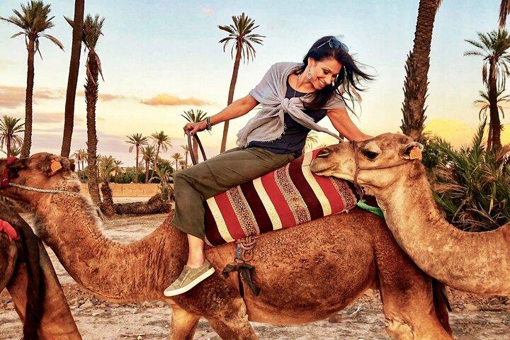 2H Camel Ride i Marrakech