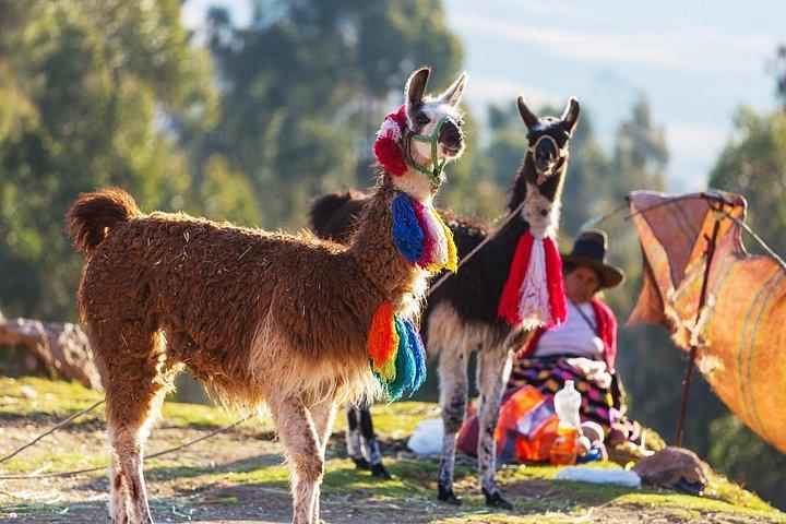 マチュ ピチュ、聖なる谷、色の山への 5 日間ツアー