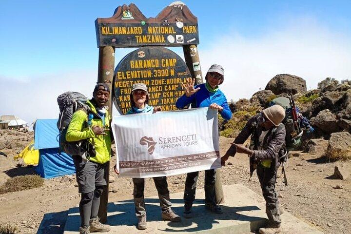 7 días de subida al Kilimanjaro por la ruta Machame (ruta del whisky)