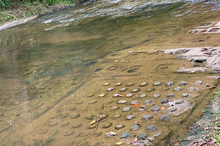 Phnom Kulen National Park Tour