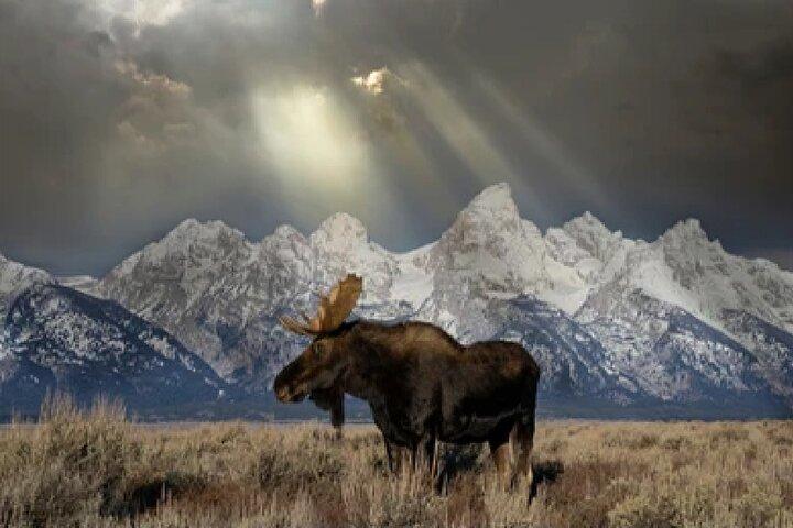 Tour al Grand Teton y al petroglifo nativo americano