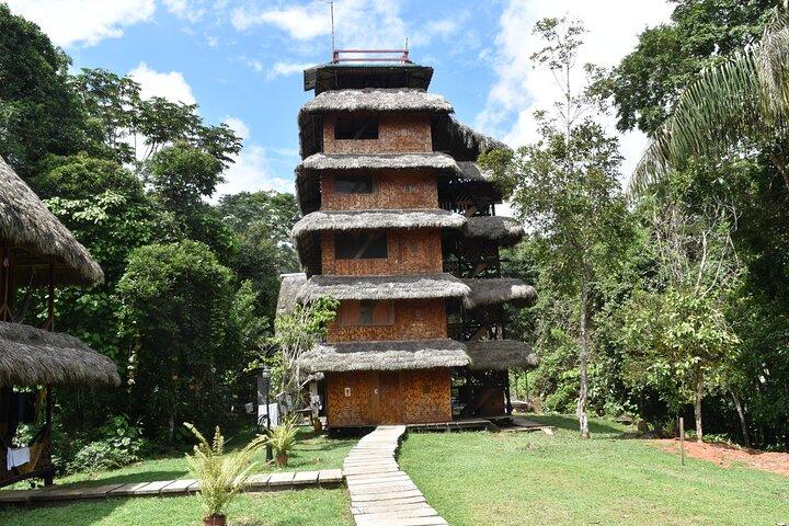 Dive into the Heart of the Wild at Caiman Eco-Lodge Cuyabeno!