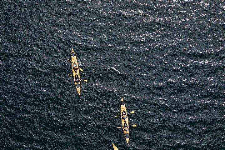 ロトルア：日中のロトイティ湖の美しいカヤックツアー