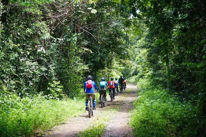 プライベート2-デイキャットティエン国立公園サイクリングツアー