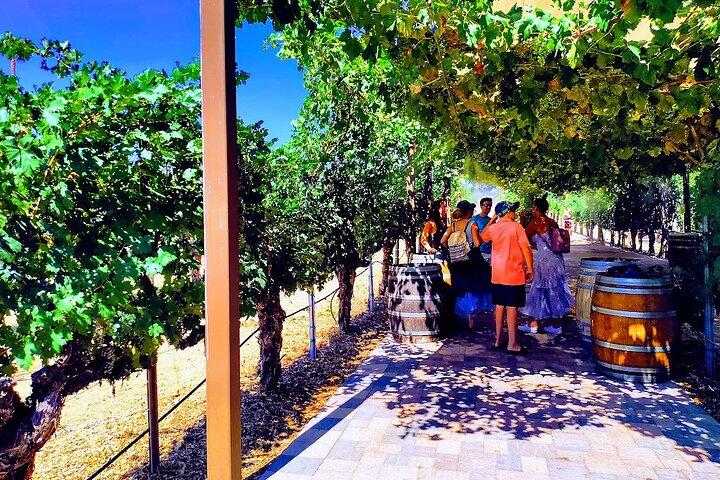 Temecula-wijntour vanuit Los Angeles