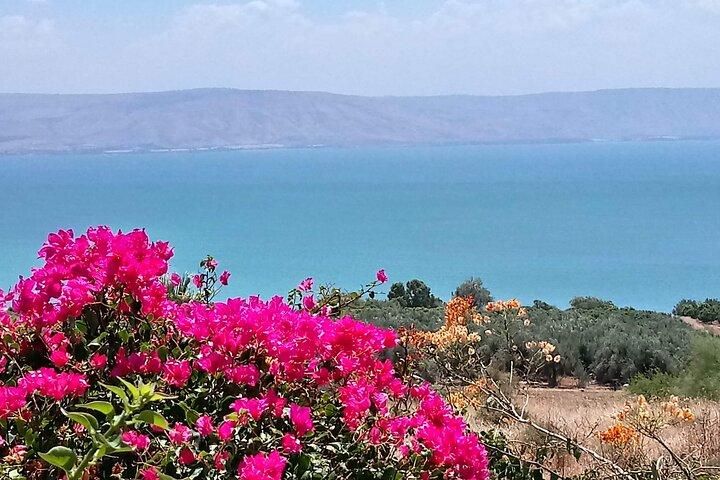 De Tel Aviv/Jérusalem : Galilée, Nazareth, Tour du Jourdain