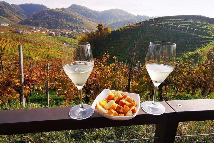 Tour de dia inteiro Privado Prosecco, com Sommelier certificado