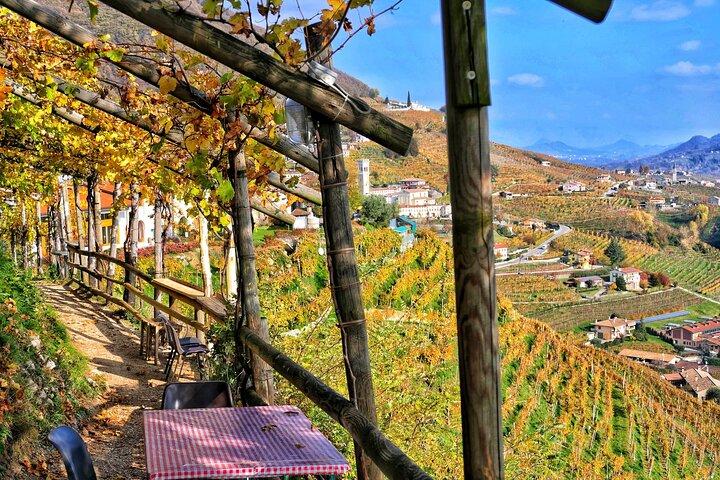 Tour de dia inteiro Privado Prosecco, com Sommelier certificado