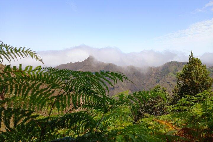 Incroyable Anaga : Randonnée en petit groupe (12km) à Tenerife
