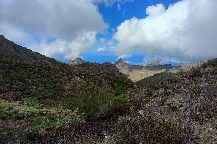 Masca dall'alto
