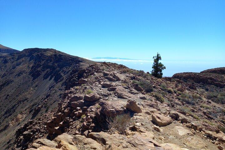 Randonnée dans les grands espaces de Tenerife