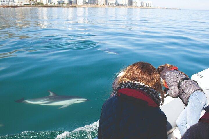 Ocean Wildlife Encounter i Cape Town