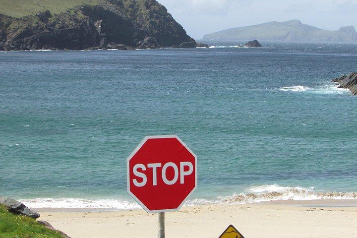 Visite privée d'une journée à Dingle et Slea Head