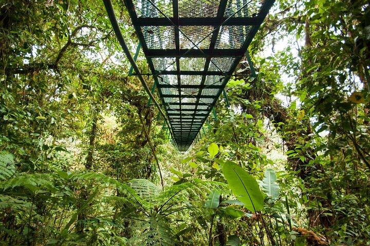 Selvatura Hanging Bridges Admission Ticket