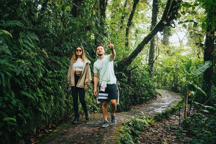 Ingresso Selvatura Hanging Bridges