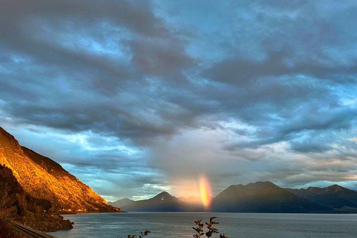 Ultimate Anchorage Winter Wildlife & Sunset Tour