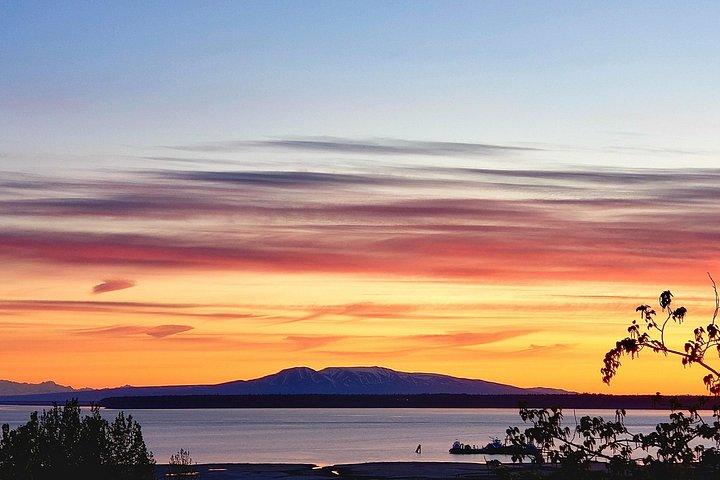 Ultimate Anchorage Winter Wildlife & Sunset Tour
