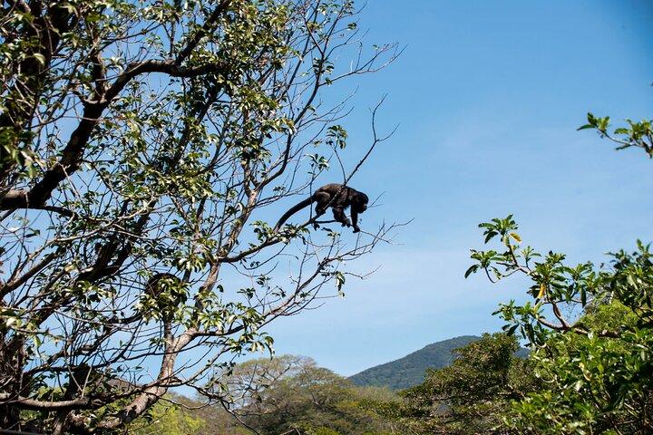 Parque Nacional de Palo Verde - passeio de um dia em safári vida selvagem - passeio cultural