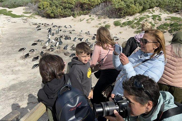 Private Full Day Tour To Cape Point, Penguins With Table Mountain.