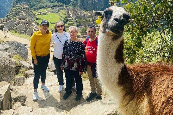 Visite privée de 2 jours : Vallée sacrée et Machu Picchu en train