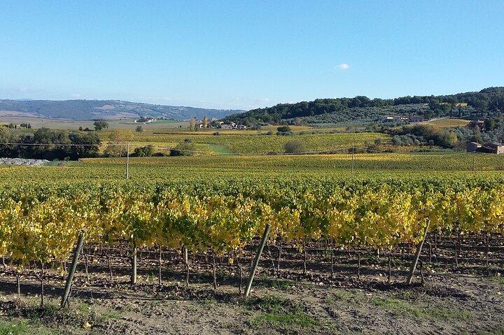 San Gimignano en Chianti-tour