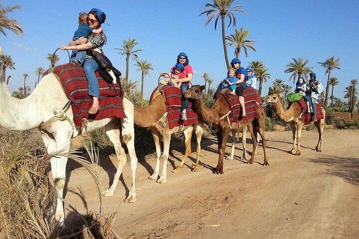 2 Hour Camel Ride in Marrakech