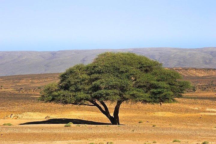 3-dages tur i Marrakech Chigaga ørkenen