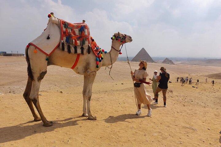 2 Hour Private Camel Ride Around Giza Pyramids Gate
