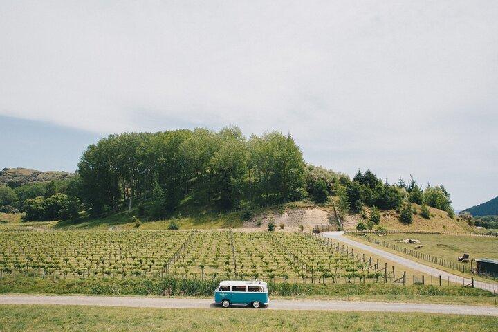 Wine Tour and Tastings in Hawkes Bay