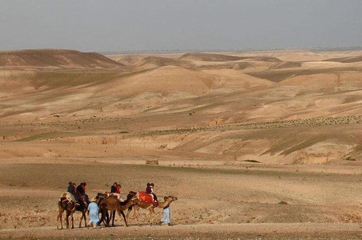 Camel Ride in Agafay Desert from Marrakech