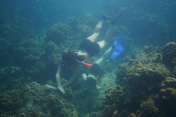 Meraviglioso luogo di snorkeling da Manila a 2 ore da Manila